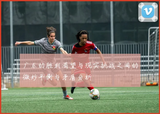 广东的胜利渴望与现实挑战之间的微妙平衡与矛盾分析